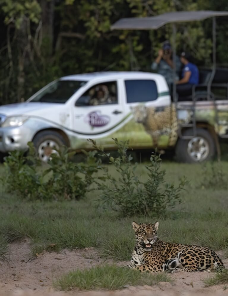Ecoturismo1-min